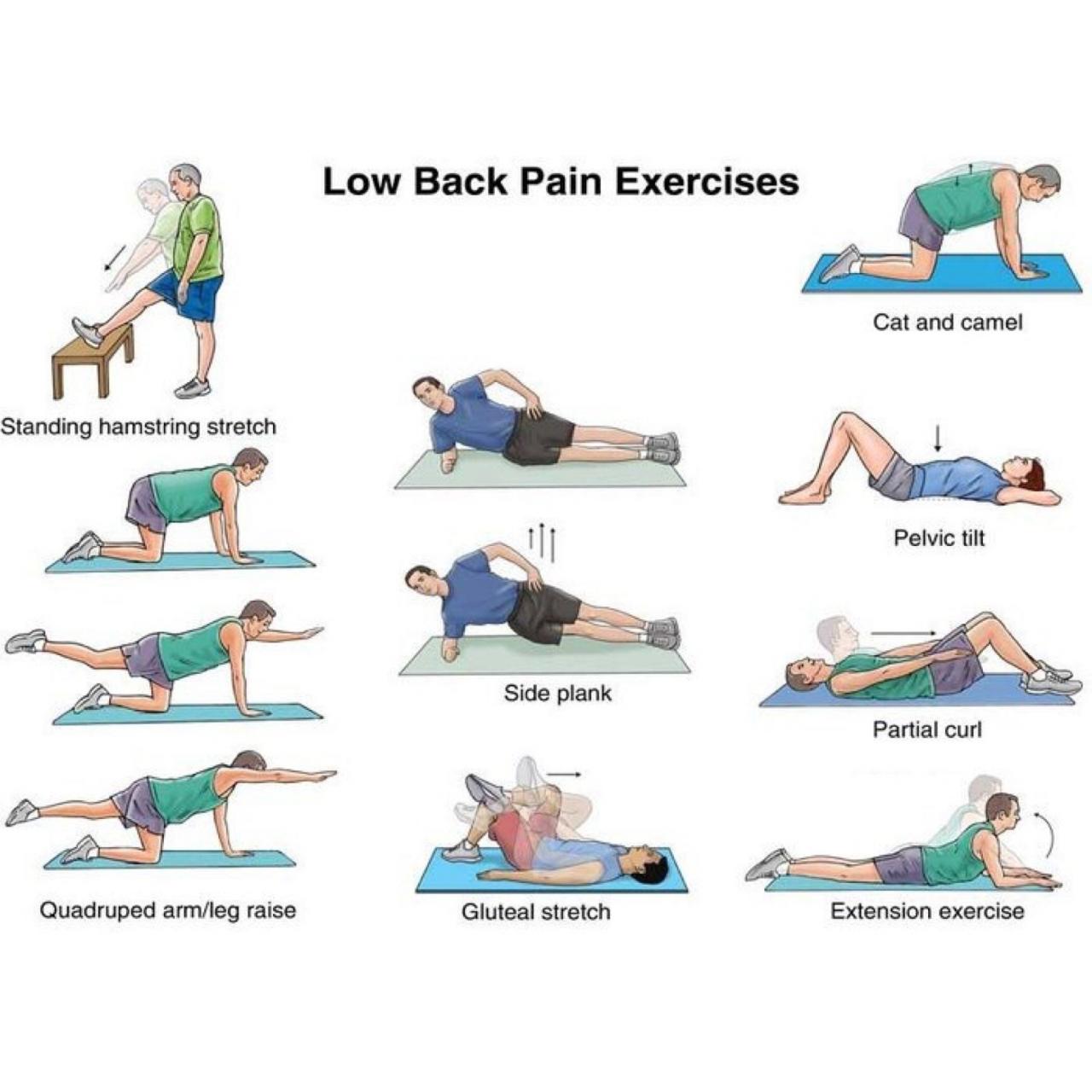 Fat back exercises workouts workout lose rid exercise upper live work